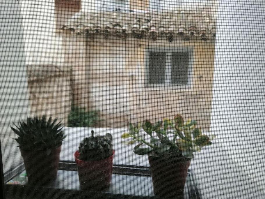 Estudio5 Tudela Exteriér fotografie